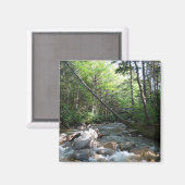 Pemigewasset River Bridge in New Hampshire Magnet (Vorderseite/Rückseite)
