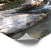 Pemigewasset River Bridge in New Hampshire Poster (Ecke)