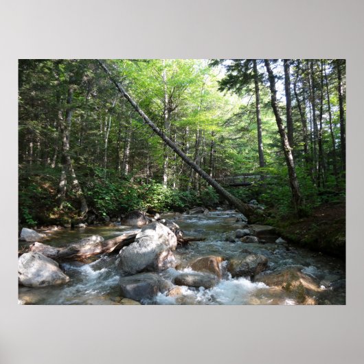 Pemigewasset River Bridge in New Hampshire Poster (Vorne)