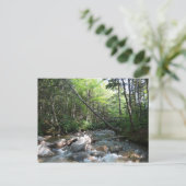 Pemigewasset River Bridge in New Hampshire Postkarte (Stehend Vorderseite)