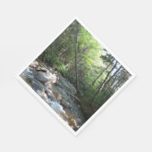 Pemigewasset River Bridge in New Hampshire Serviette (Ecke)