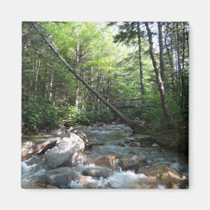 Pemigewasset River Brücke in New Hampshire Magnet