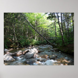 Pemigewasset River Brücke in New Hampshire Poster