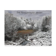 Pemigewasset Valley Postkarte: Elch auf dem Snowy 
