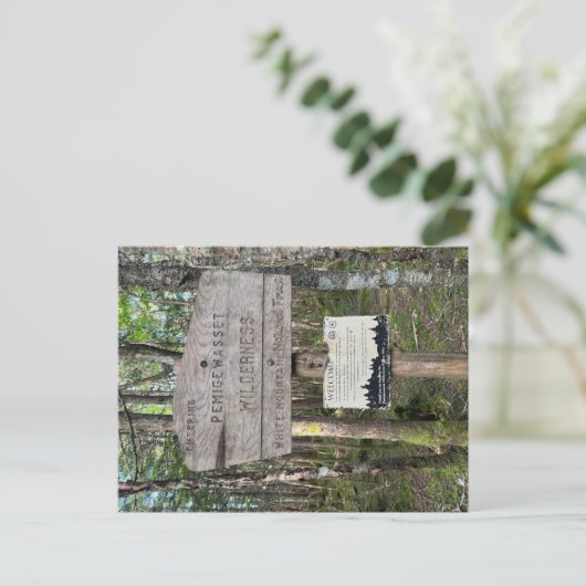 Pemigewasset Wilderness Postcard Postkarte (Stehend Vorderseite)