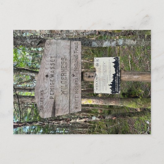 Pemigewasset Wilderness Postcard Postkarte (Vorderseite)