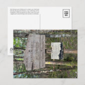 Pemigewasset Wilderness Postkarte (Vorne/Hinten)