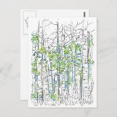 Pen und Tinte aus Aspen-Birken Zeichnend Postkarte (Vorne/Hinten)
