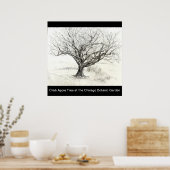 Pen und Tintenbaum zeichnend Poster (Küche)