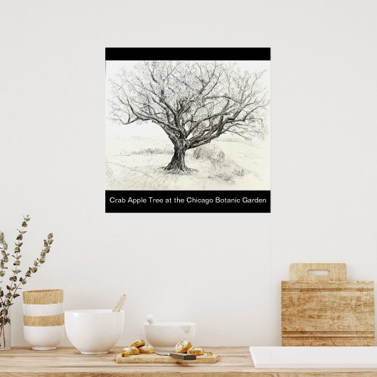 Pen und Tintenbaum zeichnend Poster (Küche)