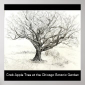 Pen und Tintenbaum zeichnend Poster (Vorne)