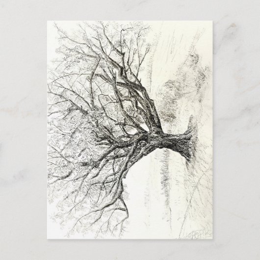 Pen und Tintenbaum zeichnend Postkarte (Vorderseite)