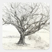 Pen und Tintenbaum zeichnend Quadratischer Aufkleber (Vorderseite)