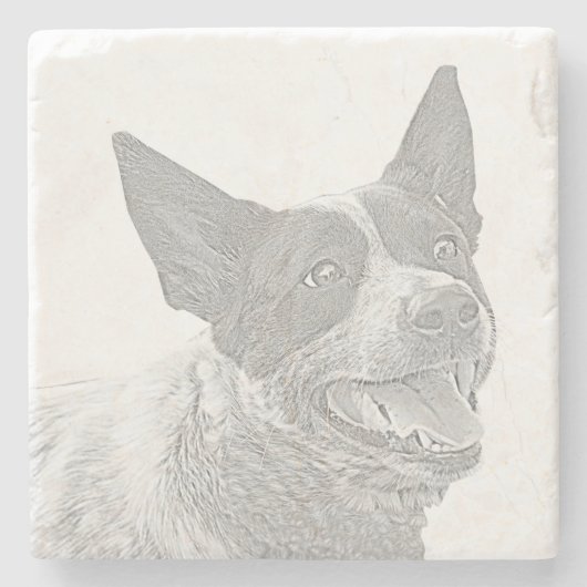 Pencil Australian Cattle Dog Marble Untersetzer (Vorderseite)