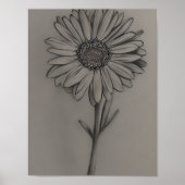 Pencil Gezeichnet Daisy Poster (Vorne)