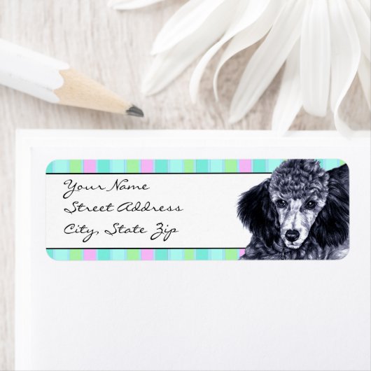 Pencil Poodle (Insitu)