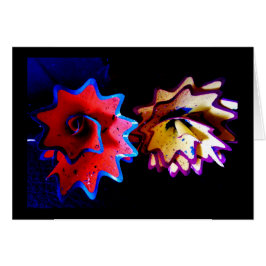 Pencil Shavings Blume