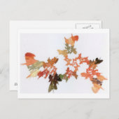 Pencil Shavings Postkarte (Vorne/Hinten)