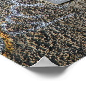 Pencil Vs Camera - Home Poster (Ecke)