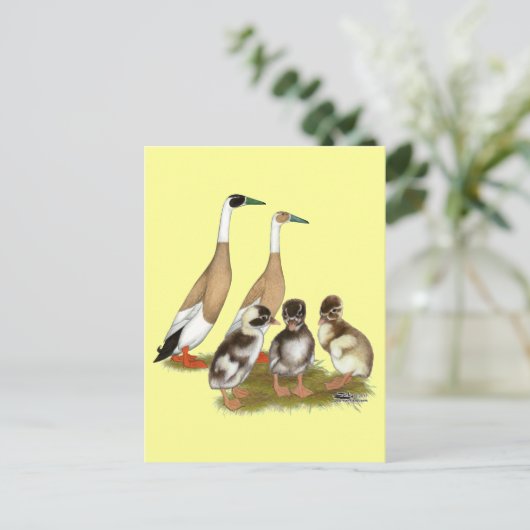 Pención Runner Duck Family Postkarte (Stehend Vorderseite)