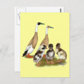 Pención Runner Duck Family Postkarte (Vorne/Hinten)