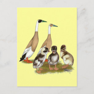 Pención Runner Duck Family Postkarte