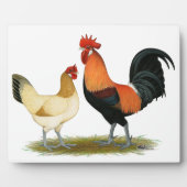 Penedesenca Fotoplatte (Vorderseite)