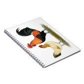 Penedesenca Notizblock (Rechte Seite)