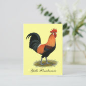 Penedesenca Rooster Postkarte (Stehend Vorderseite)