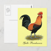 Penedesenca Rooster Postkarte (Vorne/Hinten)
