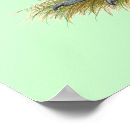 Penedesenca: Wheaten Hen Poster (Ecke)