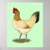 Penedesenca: Wheaten Hen Poster (Vorne)