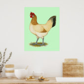 Penedesenca: Wheaten Hen Poster (Küche)