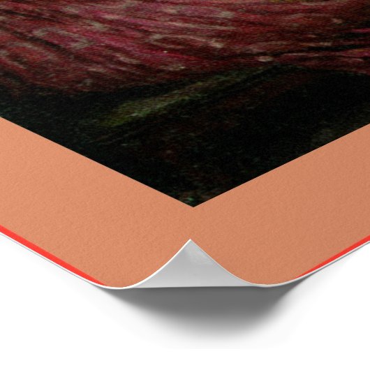 Penelope und die Suitors Poster (Ecke)