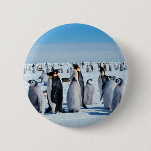 Penguin-Ansammlung Button