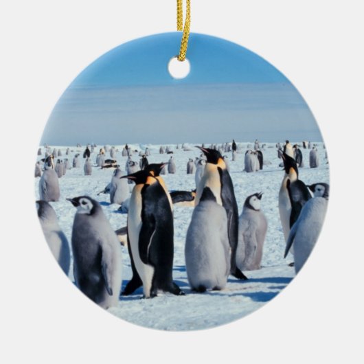 Penguin-Ansammlung Keramik Ornament (Vorne)