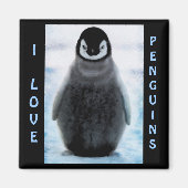 Penguin Baby Penguin Lover Fine Art Magnet (Vorne)