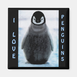 Penguin Baby Penguin Lover Fine Art Magnet