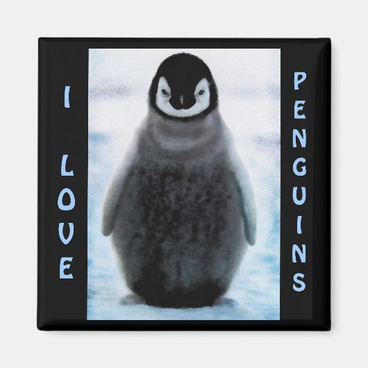 Penguin Baby Penguin Lover Fine Art Magnet (Vorne)