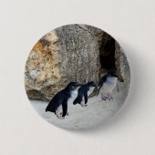 Penguin Beach House, Button (Vorderseite)