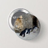 Penguin Beach House, Button (Vorne & Hinten)