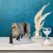 Penguin Beach House, Fotoplatte (InSitu)