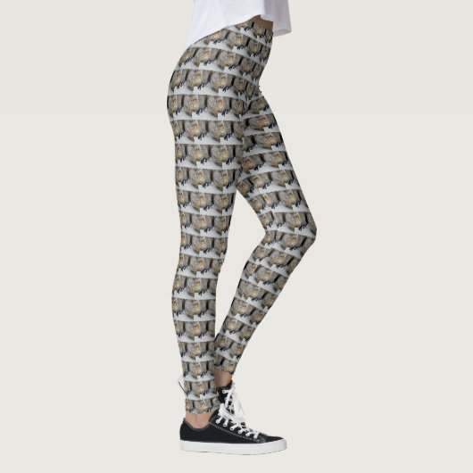 Penguin Beach House, Leggings (Rechts)