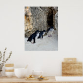 Penguin Beach House, Poster (Küche)