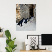 Penguin Beach House, Poster (Heimbüro)