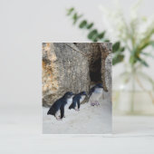 Penguin Beach House, Postkarte (Stehend Vorderseite)