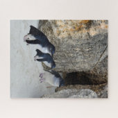 Penguin Beach House, Puzzle (Horizontal)