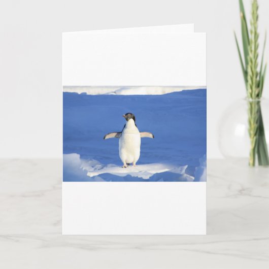 Penguin Bird Feathers Schwarz-weiß Personalize Nam Karte (Vorderseite)