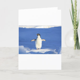Penguin Bird Feathers Schwarz-weiß Personalize Nam Karte