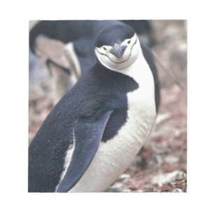 Penguin Bird Süße Tier Schwarz-weißes Wasser Notizblock